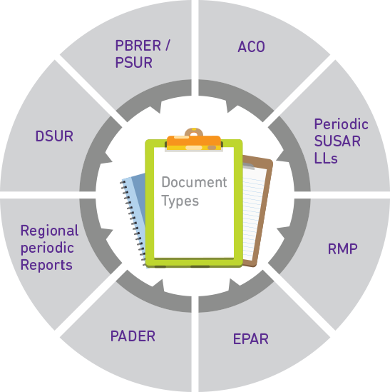 Drug Safety and Risk Management